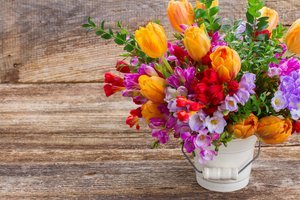 Cut flowers