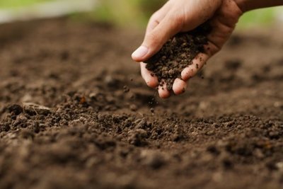 Soil and fertilisers