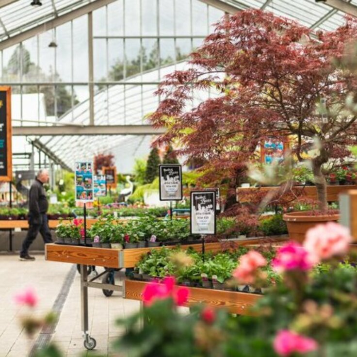 Why you should visit Fernhill Garden Centre in Athlone (Top Garden Centres in Ireland)