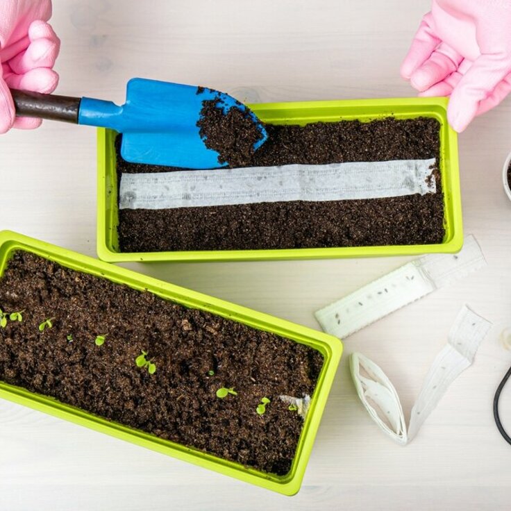 Kickstart Your Gardening Season: What to Pre-Seed Now for a Thriving Garden (Gardening)