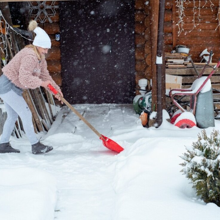 Garden Ideas for Winter in Ireland (Gardening)