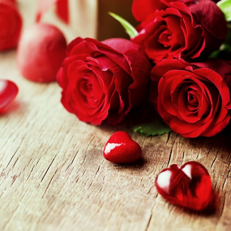 Cherished Traditions: The Timeless Elegance of Red Roses