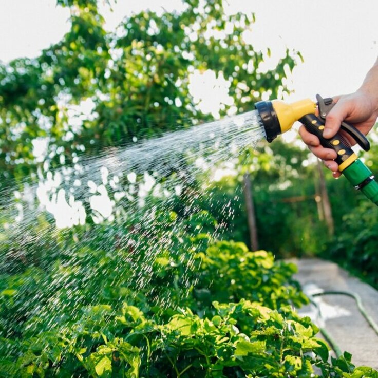 Four essential watering tips for your garden this summer