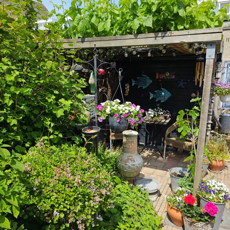 Small Garden Design Tips That Make a Big Difference (Gardens)