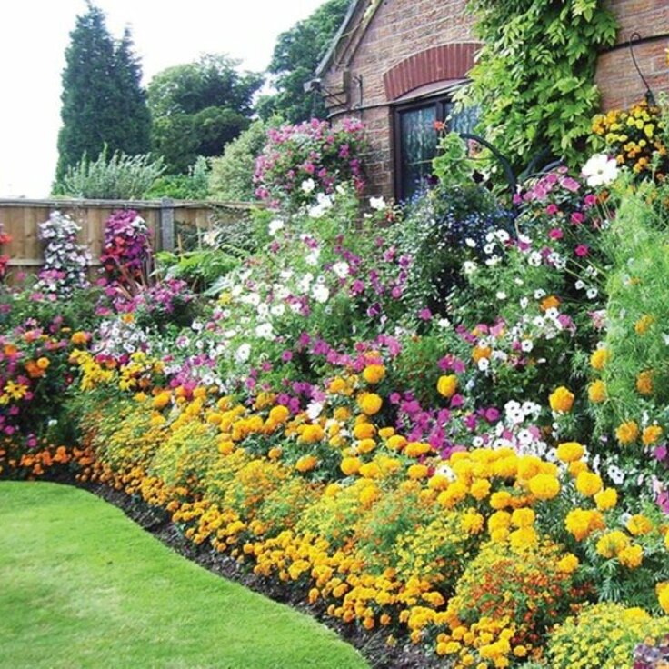 Tips on how to maintain your summer plants