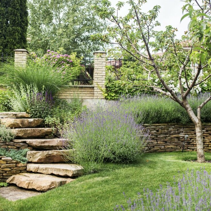 Therapeutic Gardens Take Root in Women's Wellness Routines (Gardens)